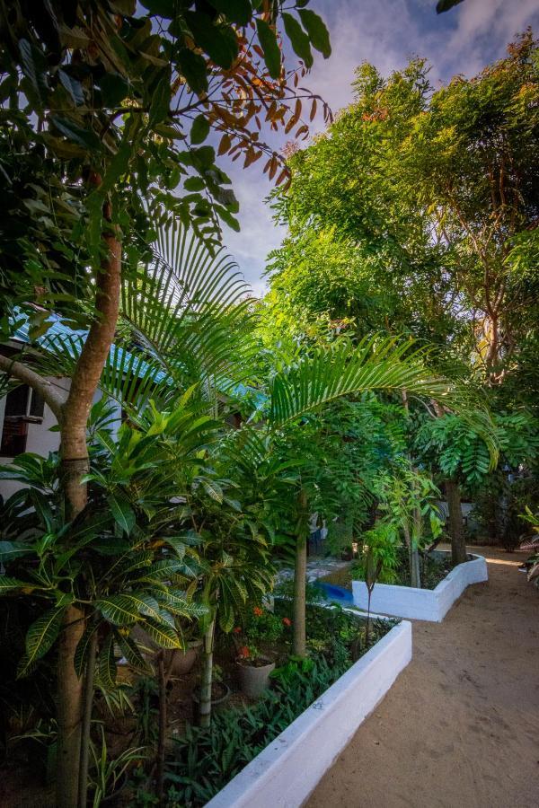 Comfort Beach Hotel Arugam Bay Exterior photo